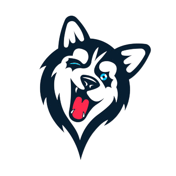 application logo